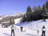 Tn IMG 5887